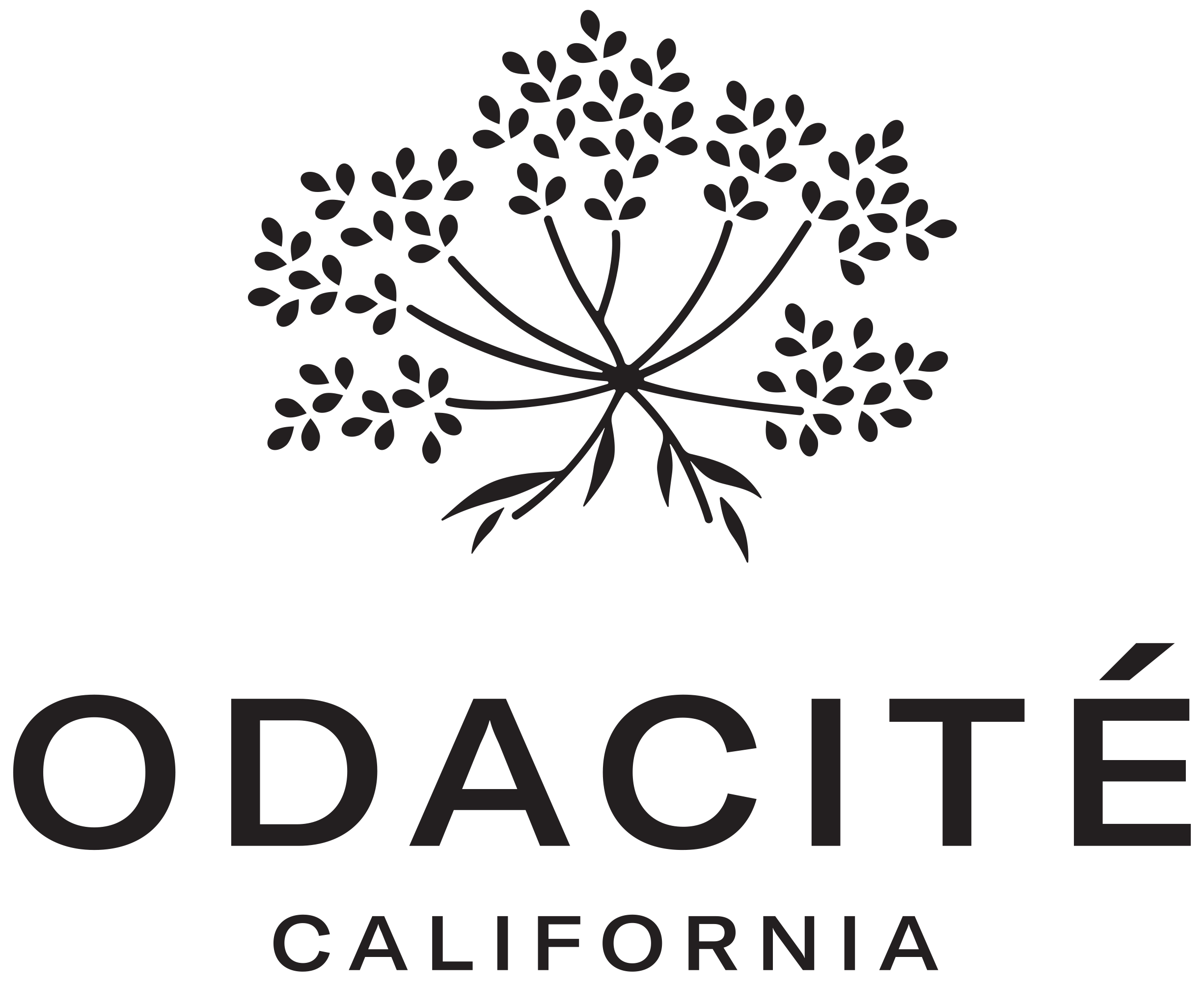 Odacité Skincare California